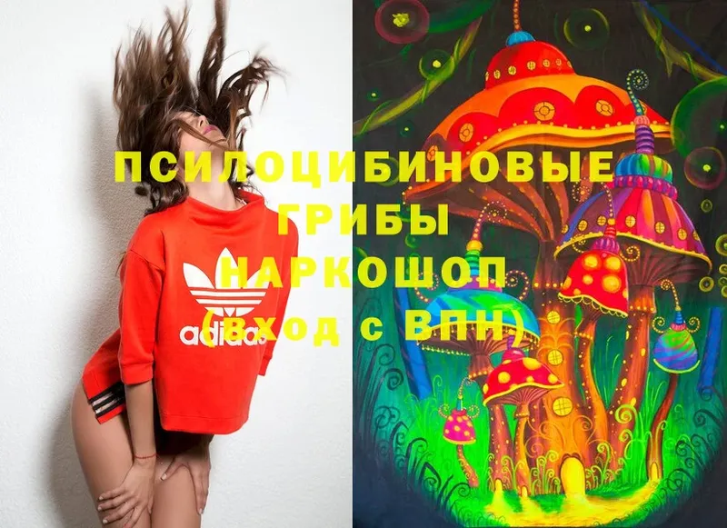 купить  цена  Чистополь  Псилоцибиновые грибы MAGIC MUSHROOMS 